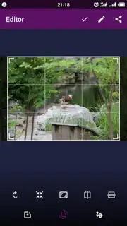 Smart Gallery - Photo Manager captura 4