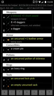 NetHack captura 8
