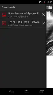 Broloader Video Downloader captura 12