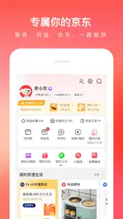 Jingdong captura 10