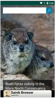 Google Search Alternatives captura 5