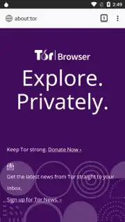 Tor Browser captura 18