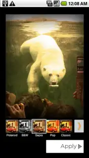 Polaroid PoGo App captura 4