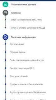 Госуслуги СПб captura 5