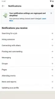 LinkedIn captura 8