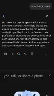 Google Gemini captura 13