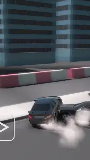 Skid Rally captura 10