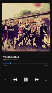 BiRD - Музыка из ВК captura 5