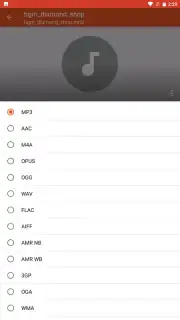 Audio Converter captura 3