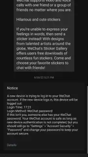 WeChat captura 13