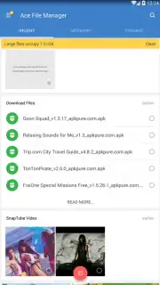 Ace File Manager captura 7
