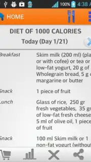 Diets for losing weight captura 11