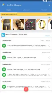 Ace File Manager captura 8