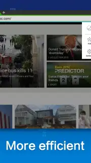 Web Browser captura 4