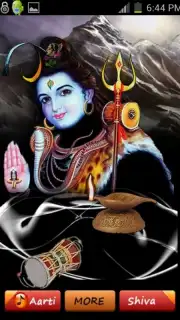 Virtual Shiva Worship captura 2