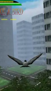 Fly like a bird 3 lite captura 1