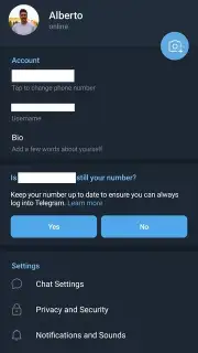 Telegram (Google Play version) captura 4