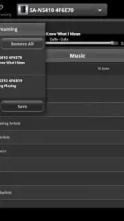Network Audio Remote captura 5