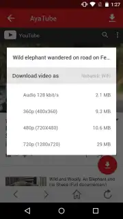 AyaTube Video Downloader captura 4