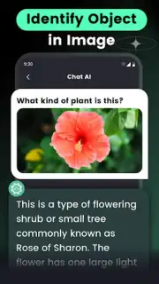 AI Chat captura 5