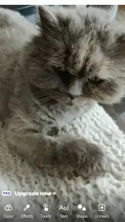 Funimate captura 3