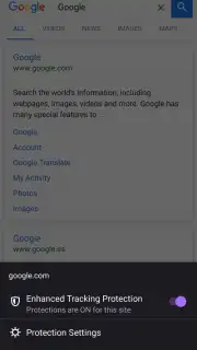 Iceraven Browser captura 8