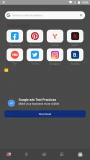 Proxy Browser captura 2