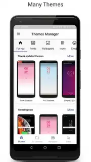 Themes Manager captura 1