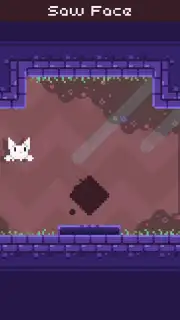 Cat Bird captura 16