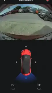 Tesla captura 8