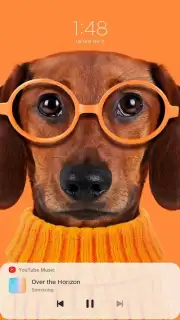 Samsung LockStar captura 5