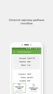 Парковки России captura 3