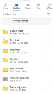 Microsoft OneDrive captura 1