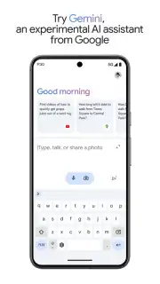 Google Gemini captura 5