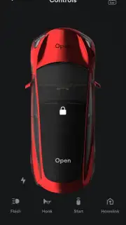 Tesla captura 2