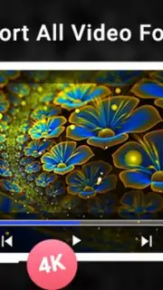 Blueray Video Player captura 4