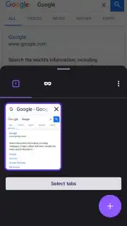 Iceraven Browser captura 10
