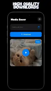 Media Saver captura 3
