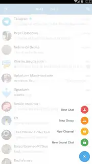 Telegram X captura 21