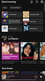 Spotify captura 13