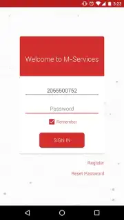 M-Services captura 7