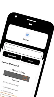 Fast Video Downloader captura 4