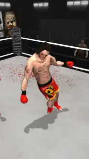 Kickboxing - Road To Champion Pro captura 5