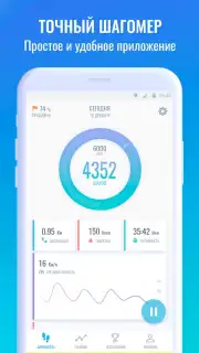 Pedometer captura 4