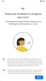 Google Assistant captura 15