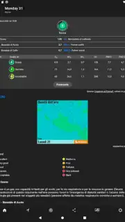 ilMeteo captura 18