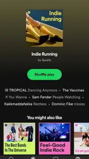 Spotify Lite captura 4