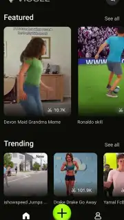 Viggle AI captura 2