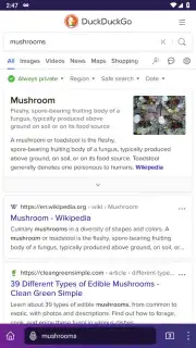 Tor Browser captura 5