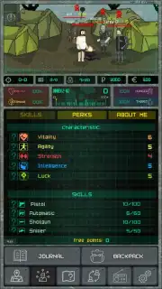 Pocket Zone captura 2
